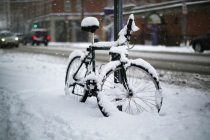 De Nueva York a Boston, en alerta ante "histórica" tormenta de nieve