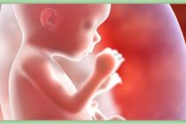 Feminista aborta a bebé porque era chico