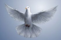 Arca de Salvación Responde: "¿Quién es el Espíritu Santo?"