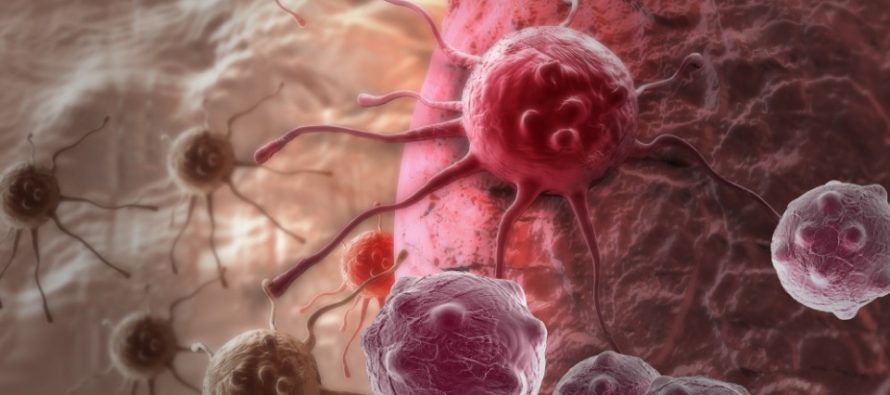 Investigadores Judios encuentran posible cura para el cáncer terminal