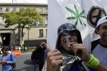 México aprueba la siembra y consumo de marihuana. Los drogadictos están muy contentos.