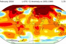 La temperatura del planeta llegó a niveles alarmantes jamas vistos