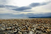 Miles de toneladas de peces muertos inundan las playas chilenas