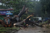 Declaran alerta roja: Otto causa siete muertos a su paso por Panamá y se convierte en huracán