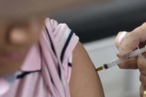 El peor brote de fiebre amarilla en décadas deja 40 muertos y tiene en alarma a Brasil