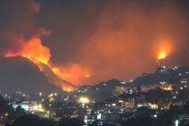 Incendios destruyen más de 250 hectáreas en Parque Nacional El Veladero de Acapulco