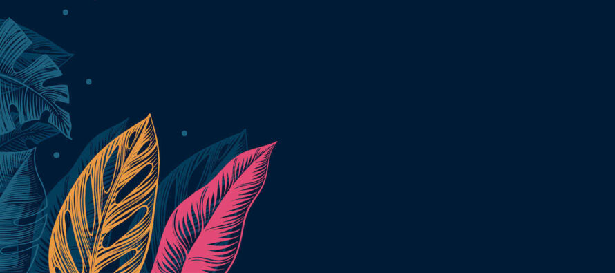 Header 23